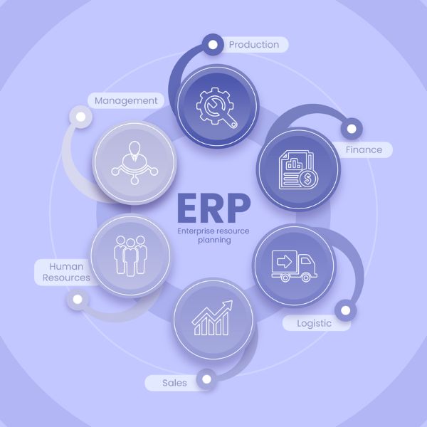 ERP vs Accounting